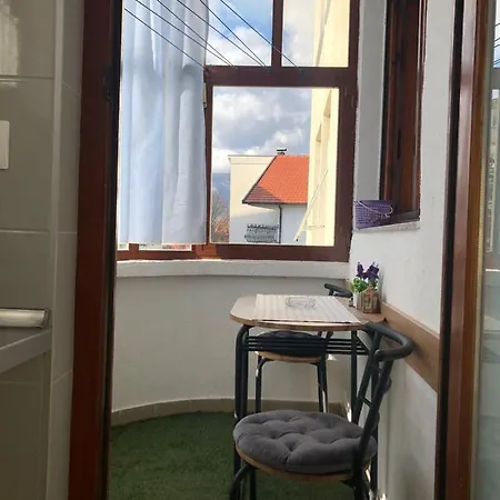 Apartment Sara